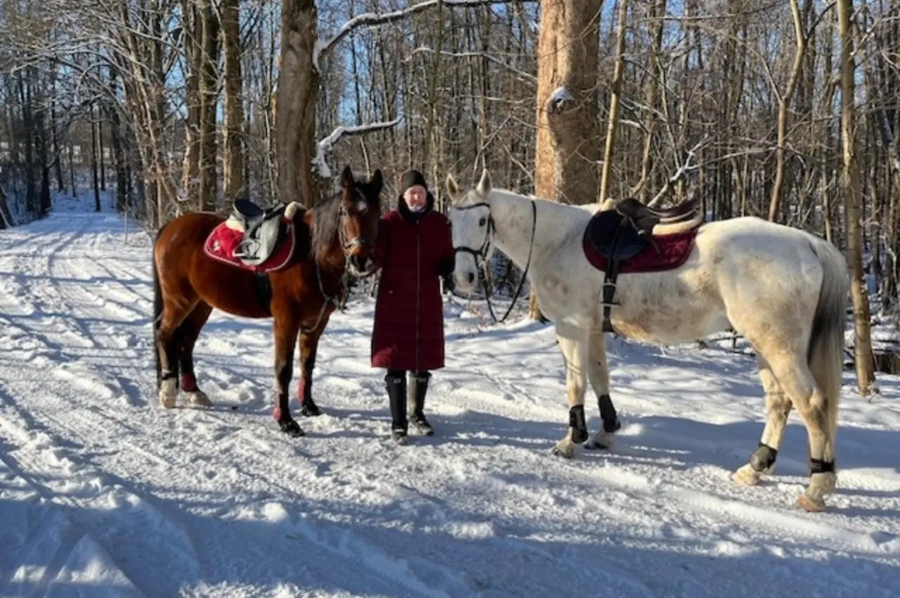 Tiergestützte Therapie mit Pferden in Freiberg